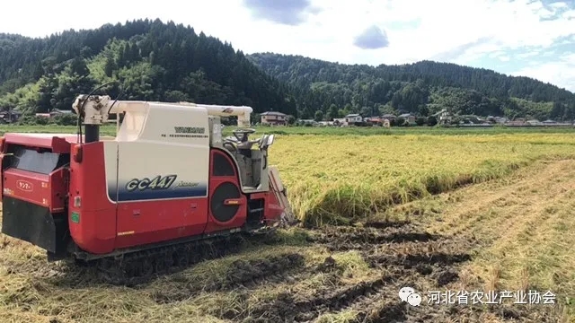 2020石家莊·國(guó)際農(nóng)業(yè)技術(shù)交流對(duì)接系列活動(dòng)之九——帶您了解日本有機(jī)種植技術(shù)